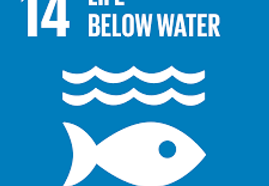 (REF S1427) Science and SDG 14: Life Below Water. Convened by LifeWatch ERIC Christos Arvanitidis